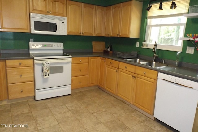 136 Longview Dr, Harriman, TN 37748 - photo 16