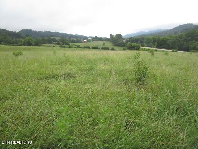 2783 Rutledge Pike, Blaine, TN 37709 - photo 3
