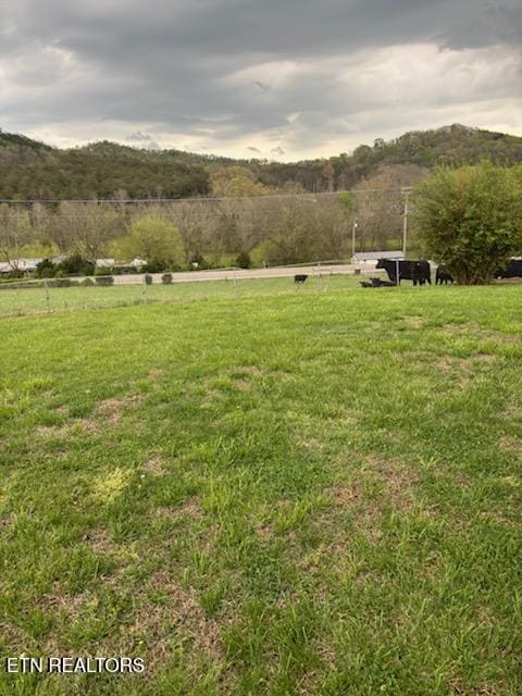 2783 Rutledge Pike, Blaine, TN 37709 - photo 4