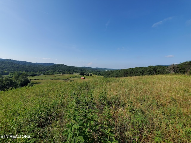 2783 Rutledge Pike, Blaine, TN 37709 - photo 5