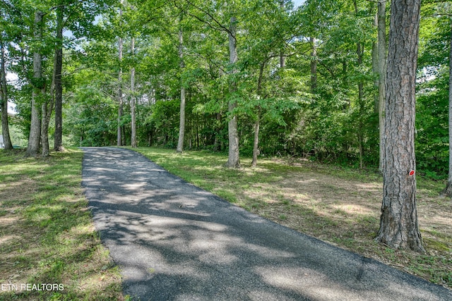 109 Starboard Ct, Harriman, TN 37748 - photo 4
