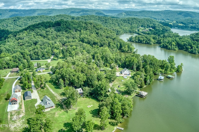 109 Starboard Ct, Harriman, TN 37748 - photo 38