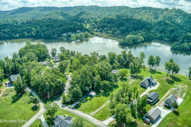 109 Starboard Ct, Harriman, TN 37748 - photo 43