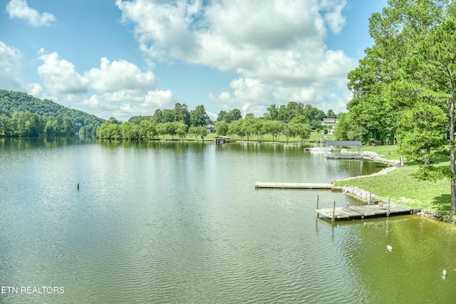109 Starboard Ct, Harriman, TN 37748 - photo 44