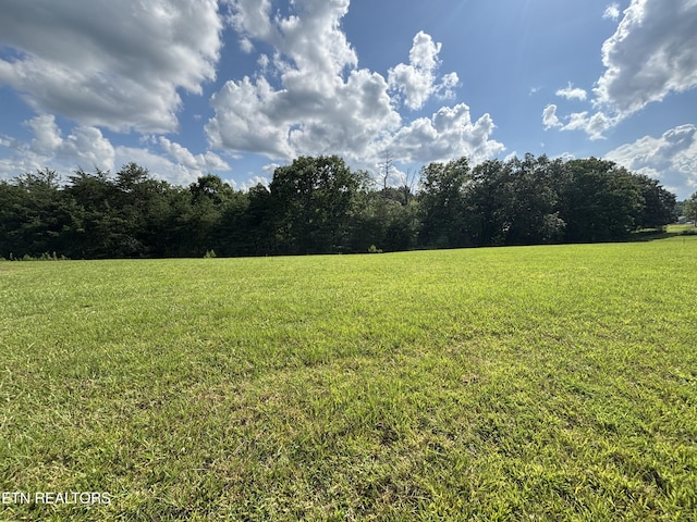 Lots Estate Loop Tr, Crossville, TN 38555 - photo 2