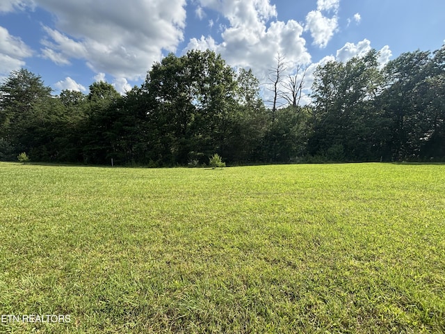 Lots Estate Loop Tr, Crossville, TN 38555 - photo 3