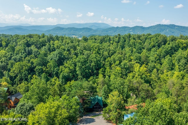 3012 Oak Tree Way, Pigeon Forge, TN 37863 - view of mountain background featuring a heavily wooded area