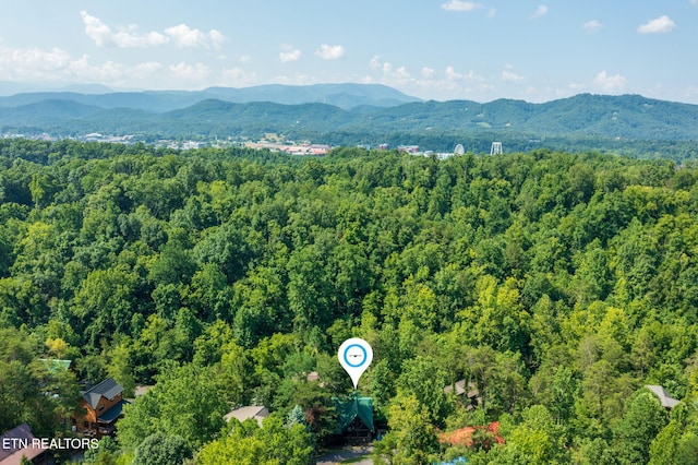 3012 Oak Tree Way, Pigeon Forge, TN 37863 - aerial view of a forest and mountains