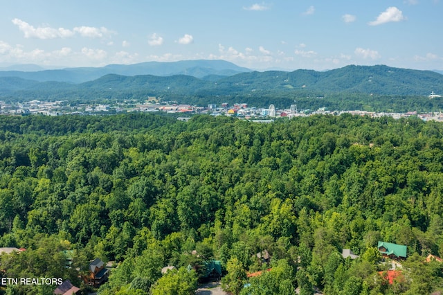 3012 Oak Tree Way, Pigeon Forge, TN 37863 - view of mountain backdrop featuring a forest