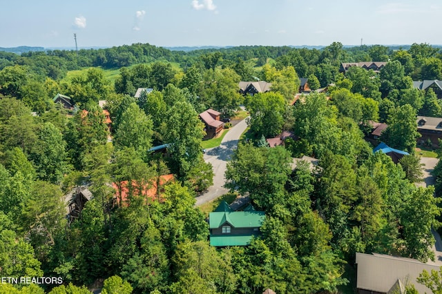3012 Oak Tree Way, Pigeon Forge, TN 37863 - aerial view of a forest