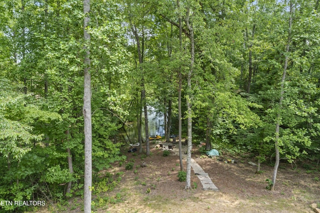 111 Tanger Ct, Harriman, TN 37748 - photo 36