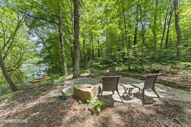 111 Tanger Ct, Harriman, TN 37748 - photo 38
