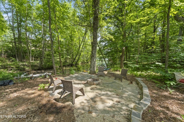 111 Tanger Ct, Harriman, TN 37748 - photo 37