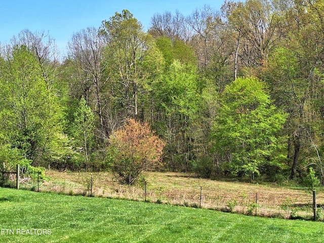 4128 Potato Farm Rd, Crossville, TN 38571 - photo 36