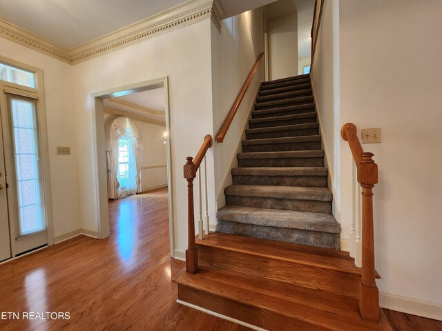 12802 Paladin Ln, Knoxville, TN 37934