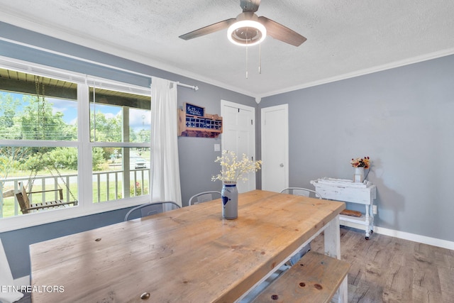 8202 Westland Dr, Knoxville, TN 37919 - photo 10