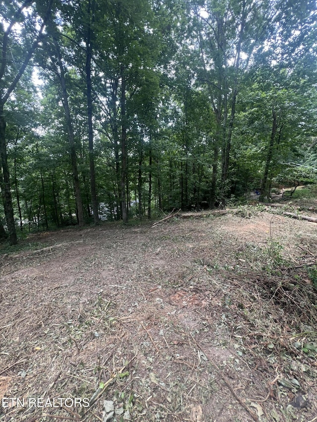 6018 Nottingham Rd, Knoxville, TN 37918 - photo 1