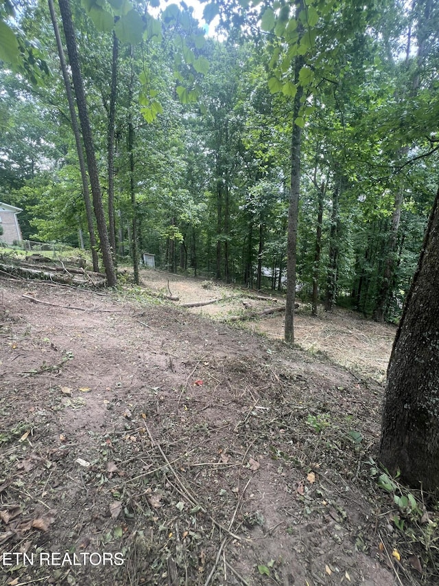 6018 Nottingham Rd, Knoxville, TN 37918 - photo 2
