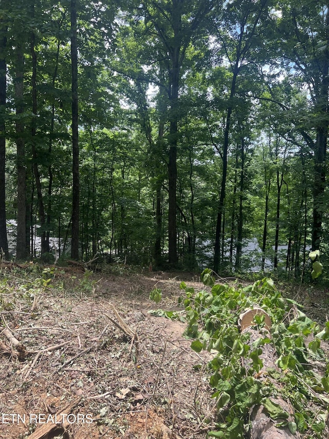 6018 Nottingham Rd, Knoxville, TN 37918 - photo 3