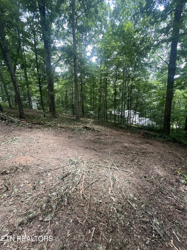 6018 Nottingham Rd, Knoxville, TN 37918 - photo 4