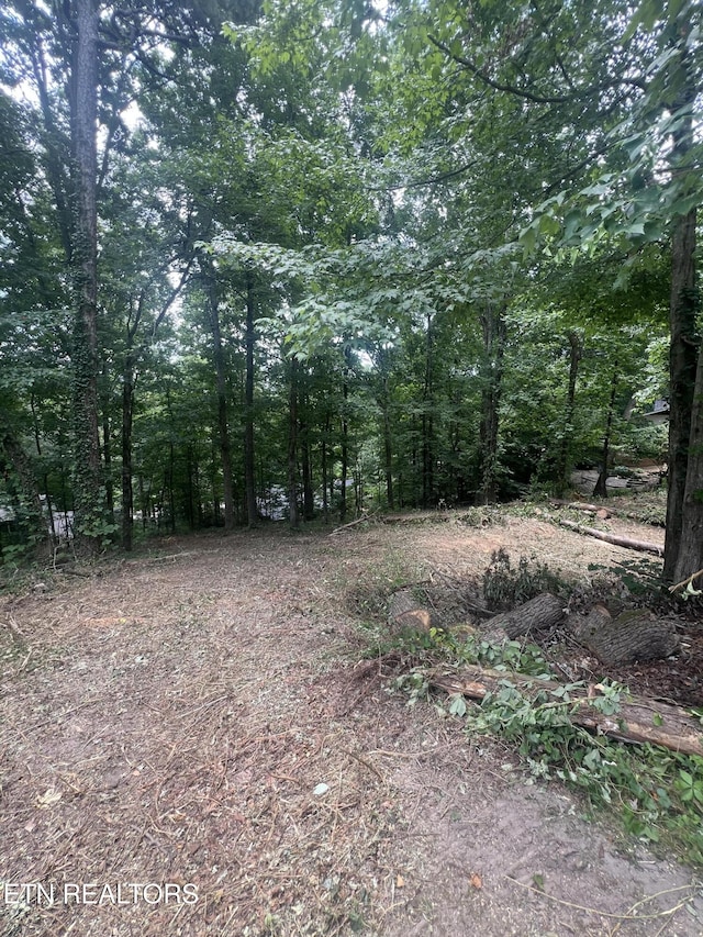 6018 Nottingham Rd, Knoxville, TN 37918 - photo 5
