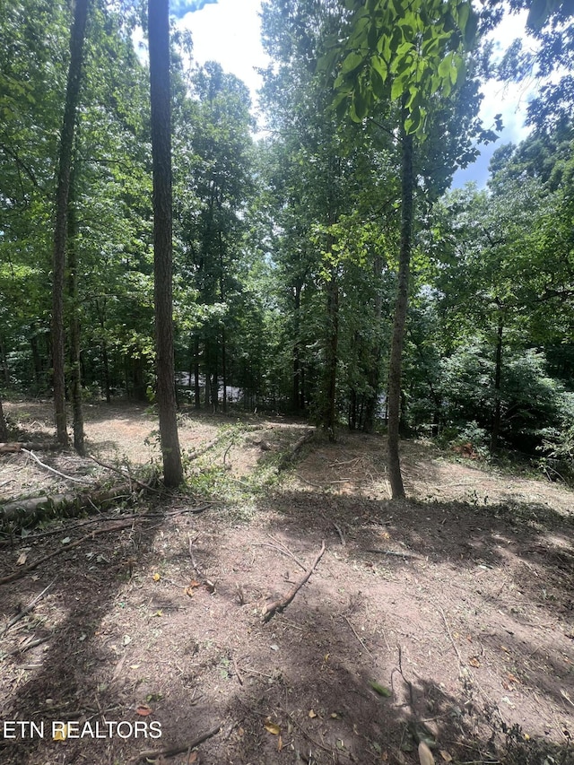 6018 Nottingham Rd, Knoxville, TN 37918 - photo 6