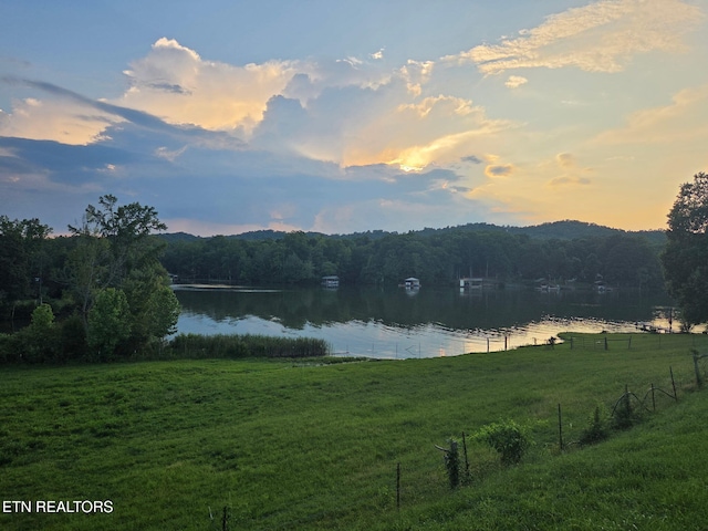 169 Ellis Rd, Kingston, TN 37763 - photo 28