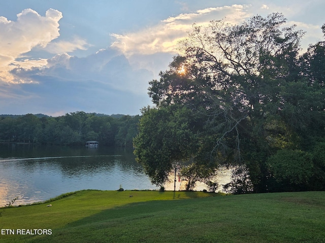 169 Ellis Rd, Kingston, TN 37763 - photo 27
