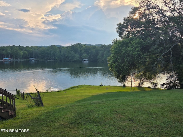 169 Ellis Rd, Kingston, TN 37763 - photo 38