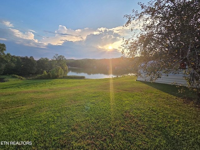 169 Ellis Rd, Kingston, TN 37763 - photo 40