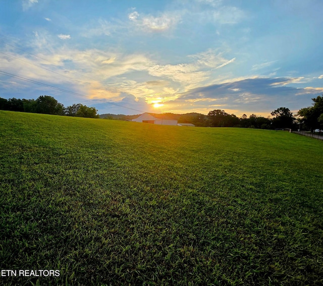 169 Ellis Rd, Kingston, TN 37763 - photo 26