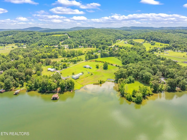 169 Ellis Rd, Kingston, TN 37763 - photo 4