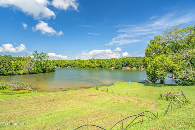 169 Ellis Rd, Kingston, TN 37763 - photo 6