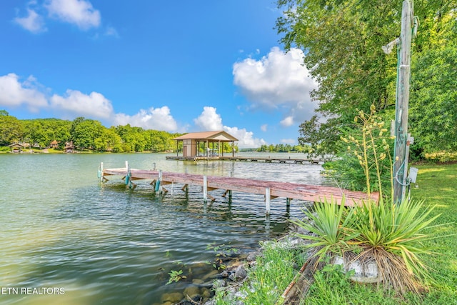 169 Ellis Rd, Kingston, TN 37763 - photo 5