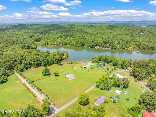 169 Ellis Rd, Kingston, TN 37763 - photo 9