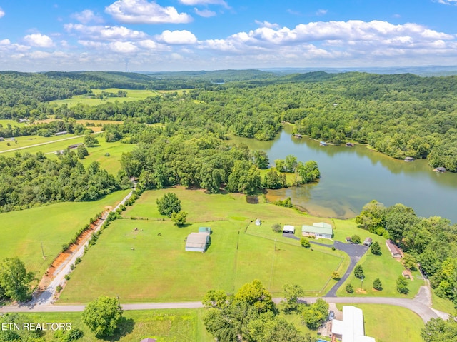 169 Ellis Rd, Kingston, TN 37763 - photo 60