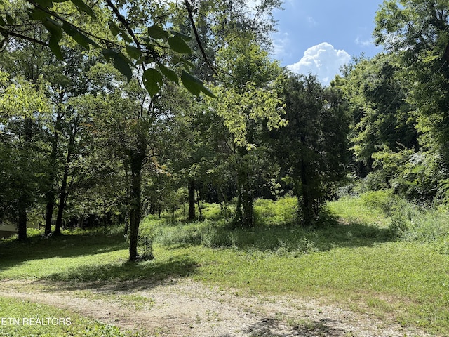 3700 Mcdonald Rd, Knoxville, TN 37914 - photo 1