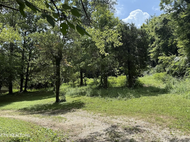 3700 Mcdonald Rd, Knoxville, TN 37914 - photo 2