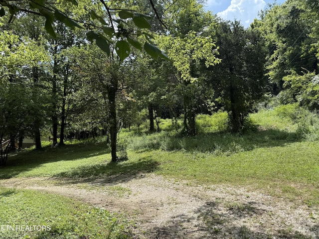 3700 Mcdonald Rd, Knoxville, TN 37914 - photo 3
