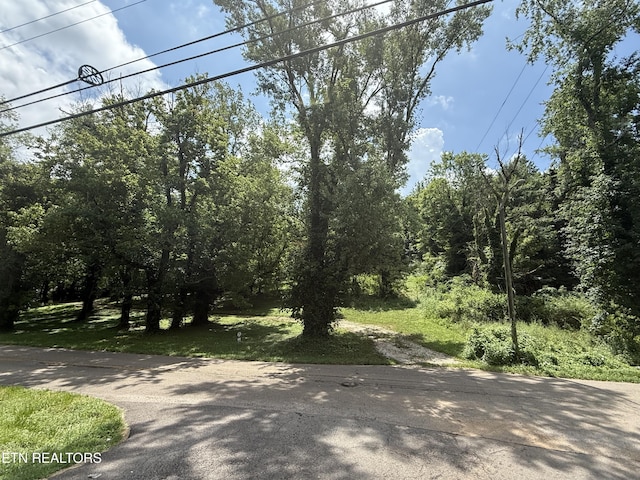3700 Mcdonald Rd, Knoxville, TN 37914 - photo 4