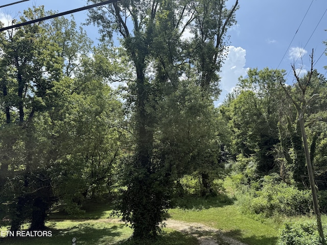 3700 Mcdonald Rd, Knoxville, TN 37914 - photo 5