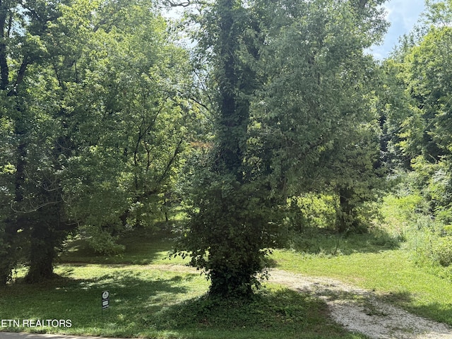 3700 Mcdonald Rd, Knoxville, TN 37914 - photo 6