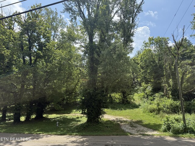 3700 Mcdonald Rd, Knoxville, TN 37914 - photo 7