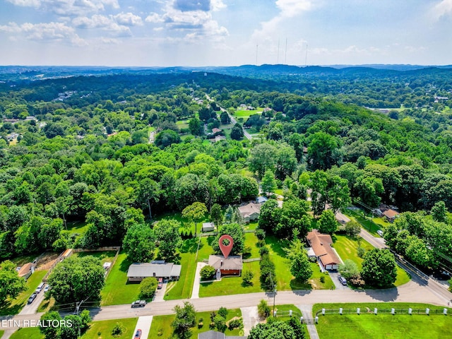 2509 Pulaski Rd, Knoxville, TN 37914 - photo 53