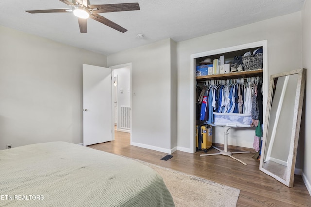 2509 Pulaski Rd, Knoxville, TN 37914 - photo 22
