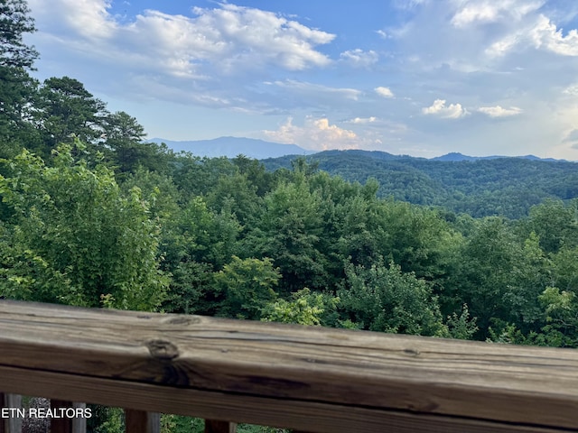 1818 Saddle Way, Sevierville, TN 37876 - view of mountain backdrop featuring a forest