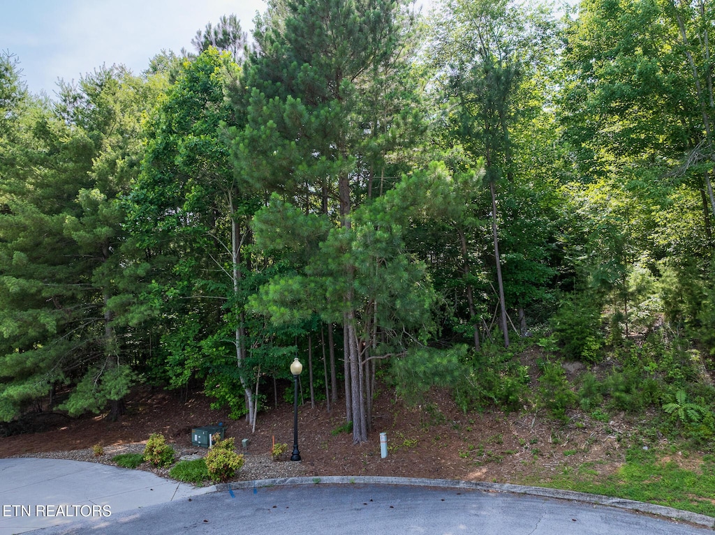 Harbour View Way, Kingston, TN 37763 - photo 1