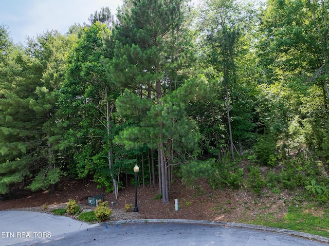 Harbour View Way, Kingston, TN 37763 - photo 1