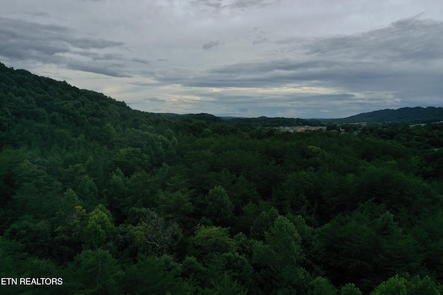 220 Milldale Rd, Dandridge, TN 37725