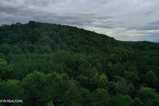 220 Milldale Rd, Dandridge, TN 37725